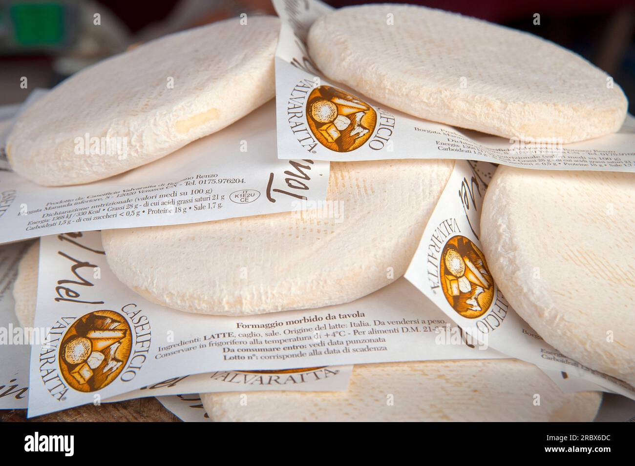 Toumin dal Mel, Typical Cheese, Factory Val Varaita, Cuneo, Piedmont, Italien, Europa Stockfoto