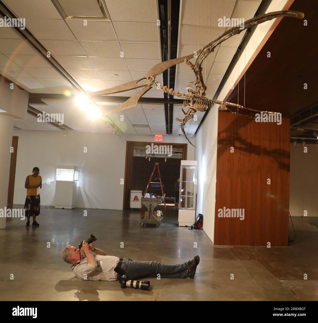 Juli 2023, New York City, New York, USA: Ein Fotograf fotografiert einen seltenen fliegenden PTERANODON (voraussichtlich 11 Millionen US-Dollar), der in der Pressevorschau für das demnächst erscheinende Sotheby's Live Natural History AuctionÂ Fossil Skelette for PreHistoric Predators: Pternodon und Plesiosaur, am 26. Juli in Sotheby's New York. Fossilien stammen aus der späten Kreidezeit und der Niederjurastik, vor über 83 Millionen Jahren. (Kreditbild: © Nancy Kaszerman/ZUMA Press Wire) NUR REDAKTIONELLE VERWENDUNG! Nicht für den kommerziellen GEBRAUCH! Stockfoto