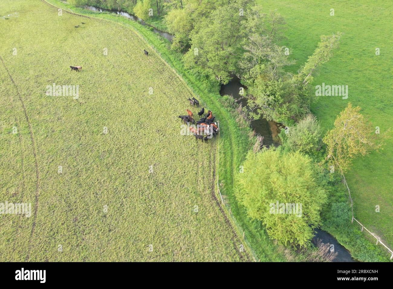 Drohnenperspektive über grünen Feldern von Hook, Hampshire, England. Die Bilder zeigen einen klaren Himmel und grüne Felder, die sich an der Horizontlinie treffen. Stockfoto
