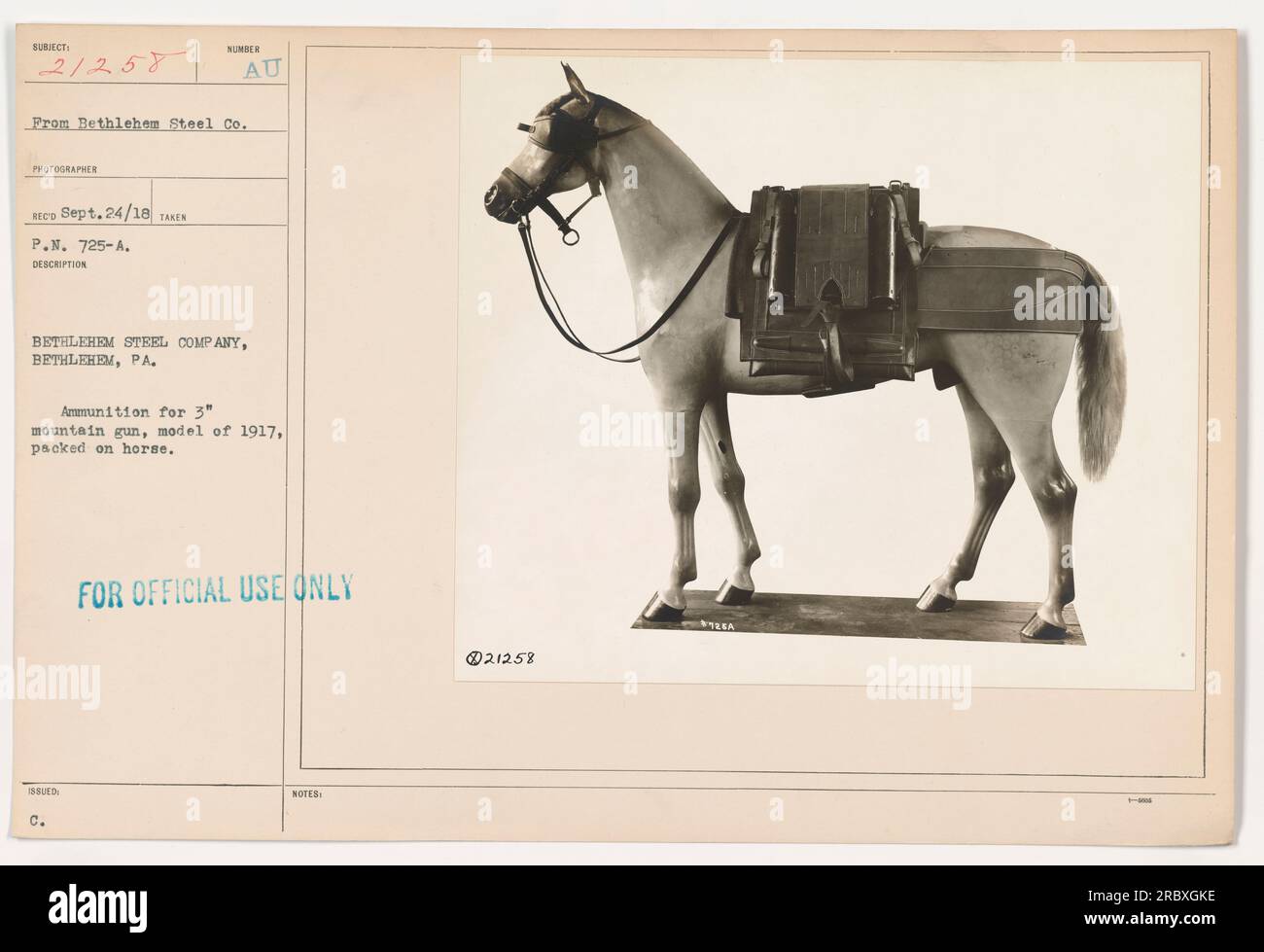 Amerikanische Soldaten transportieren Munition für eine 3' Bergpistole, Modell von 1917, auf dem Pferderücken. Dieses Bild wurde von einem Fotografen von Bethlehem Steel Co. Am 24. September 1918 in Bethlehem, Pennsylvania, aufgenommen. Die Munition ist für militärische Zwecke auf den Pferden verpackt. [Bild-ID: 111-SC-21258] Stockfoto