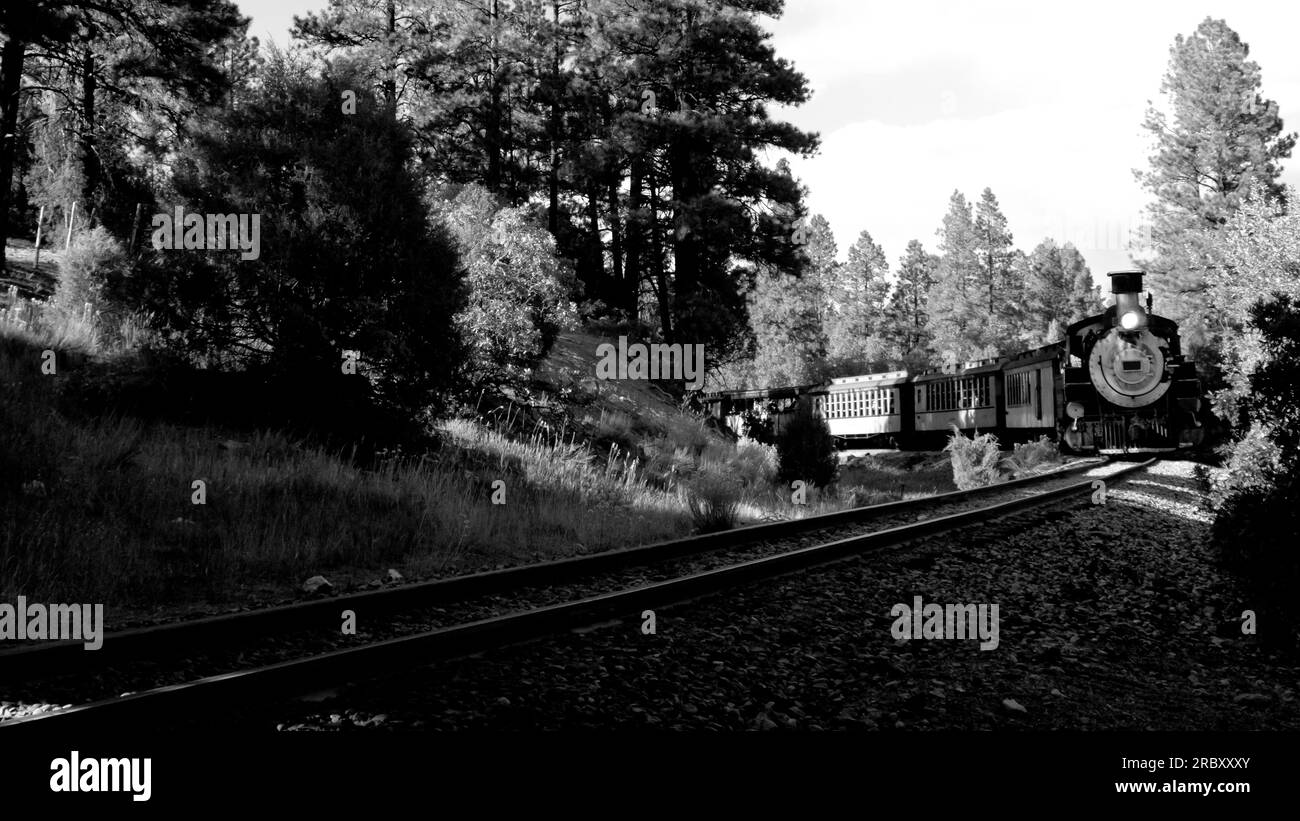 Eisernes Pferd Nr. 481 Stockfoto