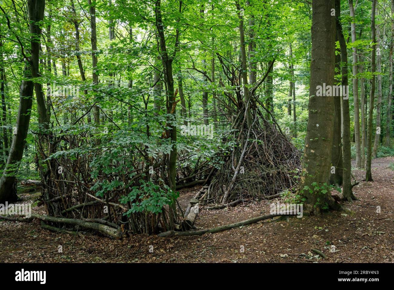 Asthütte im Wald im Ardey-Gebirge bei Herdecke, Nordrhein-Westfalen, Deutschland. Asthuette im Wald im Ardeygebirge bei Herdecke, Nordrhei Stockfoto