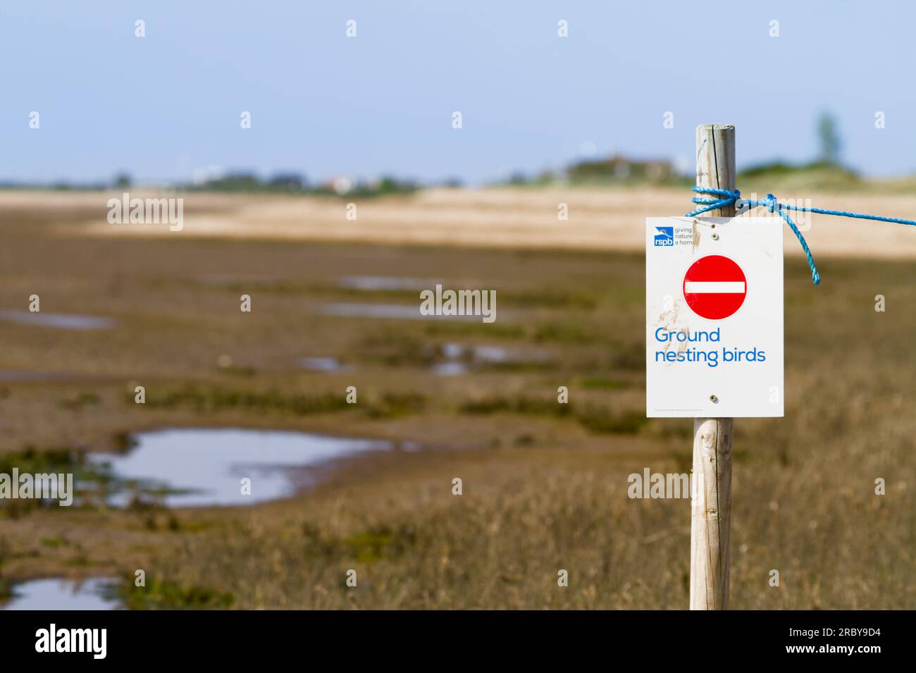 RSPB-Warnschild und Seilbarriere zum Schutz von Brutvögeln am Snettisham Beach UK Stockfoto