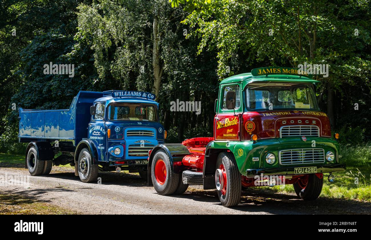 Oldtimer mit Albion Tipper und Dodge Truck, Wheels of Yesteryear Outing, Lennoxlove Estate, East Lothian, Schottland, Großbritannien Stockfoto