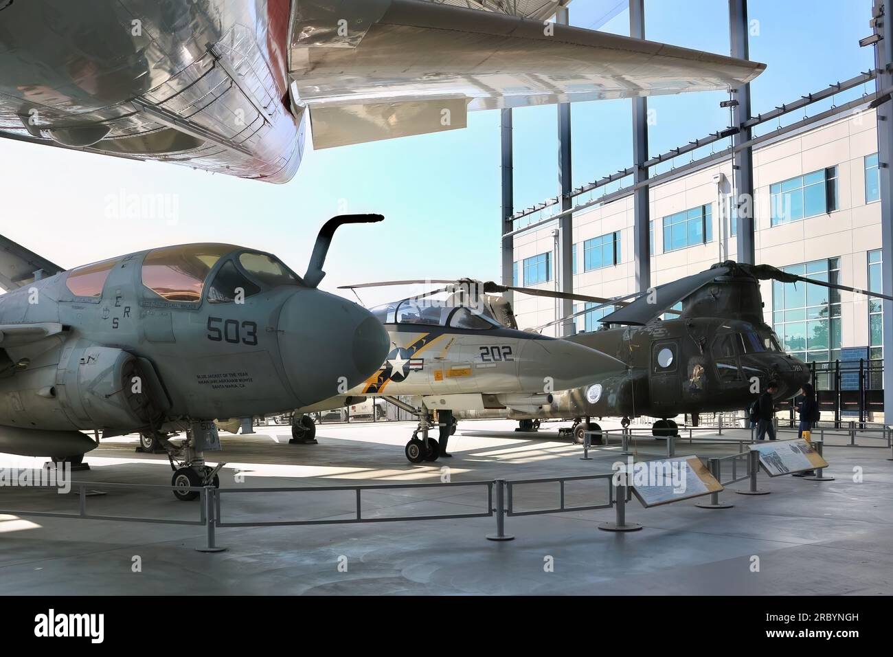 Grumman EA-6B Prowler Grumman F-14A Tomcat Jet Fighter und Boeing CH-47D Chinook 'My Old Lady' Hubschrauber The Museum of Flight Seattle Washington USA Stockfoto