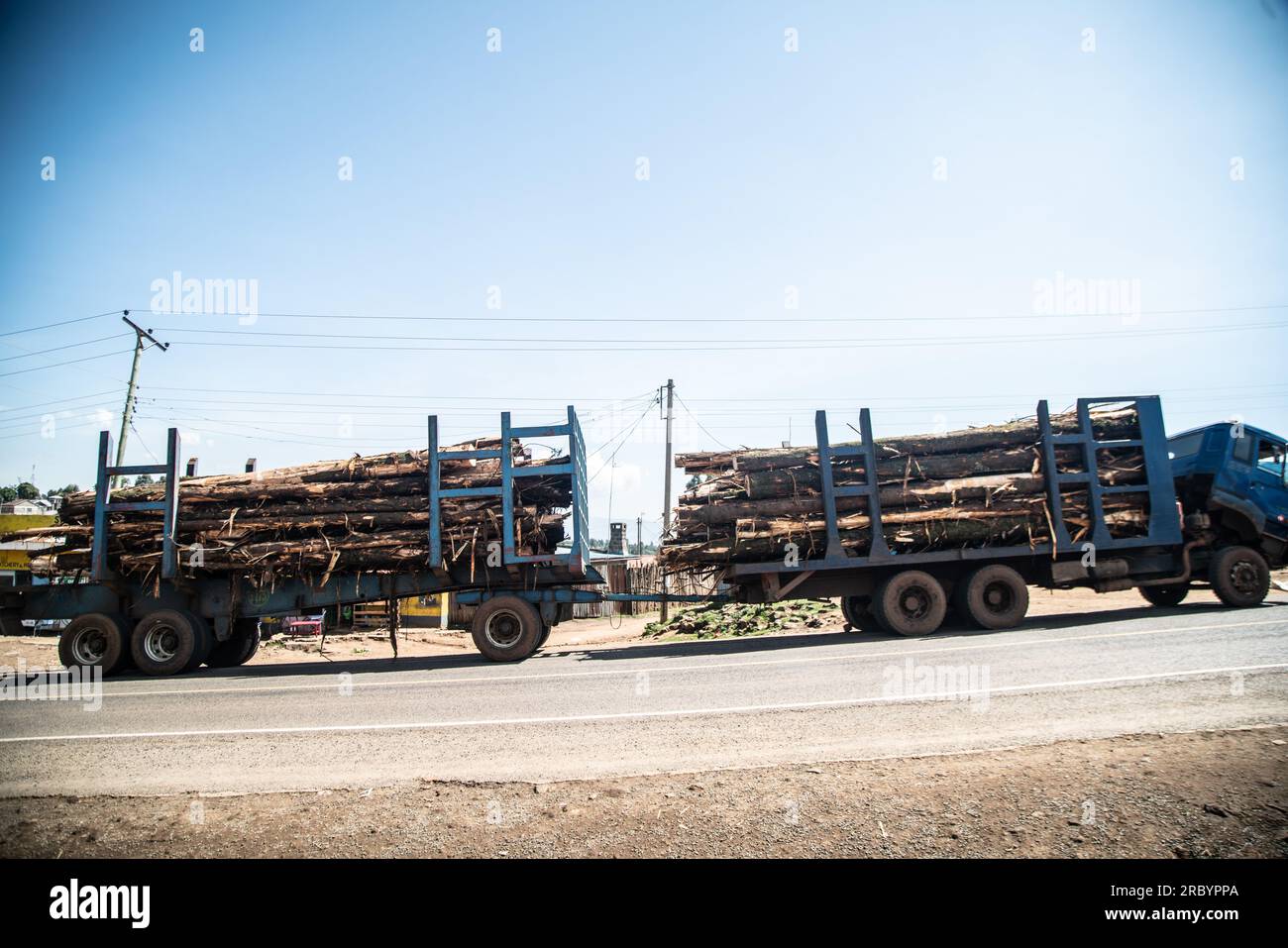 Ein gestürzter Truck, der Holzstämme transportiert, gesehen auf einer Autobahn in Elburgon bei Nakuru City. Anfang dieses Monats kündigte William Ruto, der Präsident Kenias, die Aufhebung eines sechsjährigen Verbots für die Ernte von Bäumen aus öffentlichen Wäldern und Gemeinschaftswäldern an, ein Schritt, der den Aufruhr von Umweltgruppen geweckt hat, die vor möglichen langfristigen Folgen für die Umwelt warnen. Stockfoto