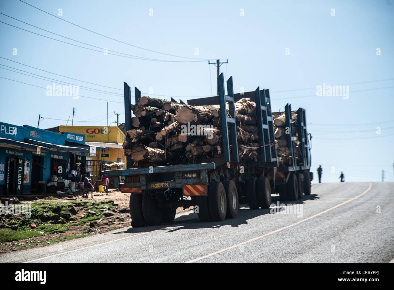 Ein gestürzter Truck, der Holzstämme transportiert, gesehen auf einer Autobahn in Elburgon bei Nakuru City. Anfang dieses Monats kündigte William Ruto, der Präsident Kenias, die Aufhebung eines sechsjährigen Verbots für die Ernte von Bäumen aus öffentlichen Wäldern und Gemeinschaftswäldern an, ein Schritt, der den Aufruhr von Umweltgruppen geweckt hat, die vor möglichen langfristigen Folgen für die Umwelt warnen. Stockfoto