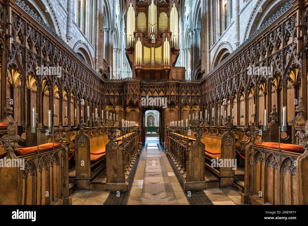 Chorstände und Orgel in der Kathedrale von Norwich Stockfoto