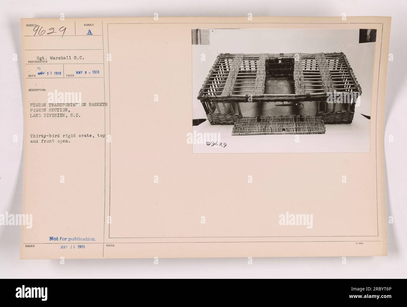 Taubentransportkörbe, benutzt von der Taubenabteilung, Landdivision, im Ersten Weltkrieg Dieses Foto, das Sergeant Marshall am 8. Mai 1918 gemacht hat, zeigt eine starre Kiste mit 30 Vögeln und offenen Deckeln und Fronten. Das Bild ist als nicht zur Veröffentlichung markiert.“ ' Stockfoto