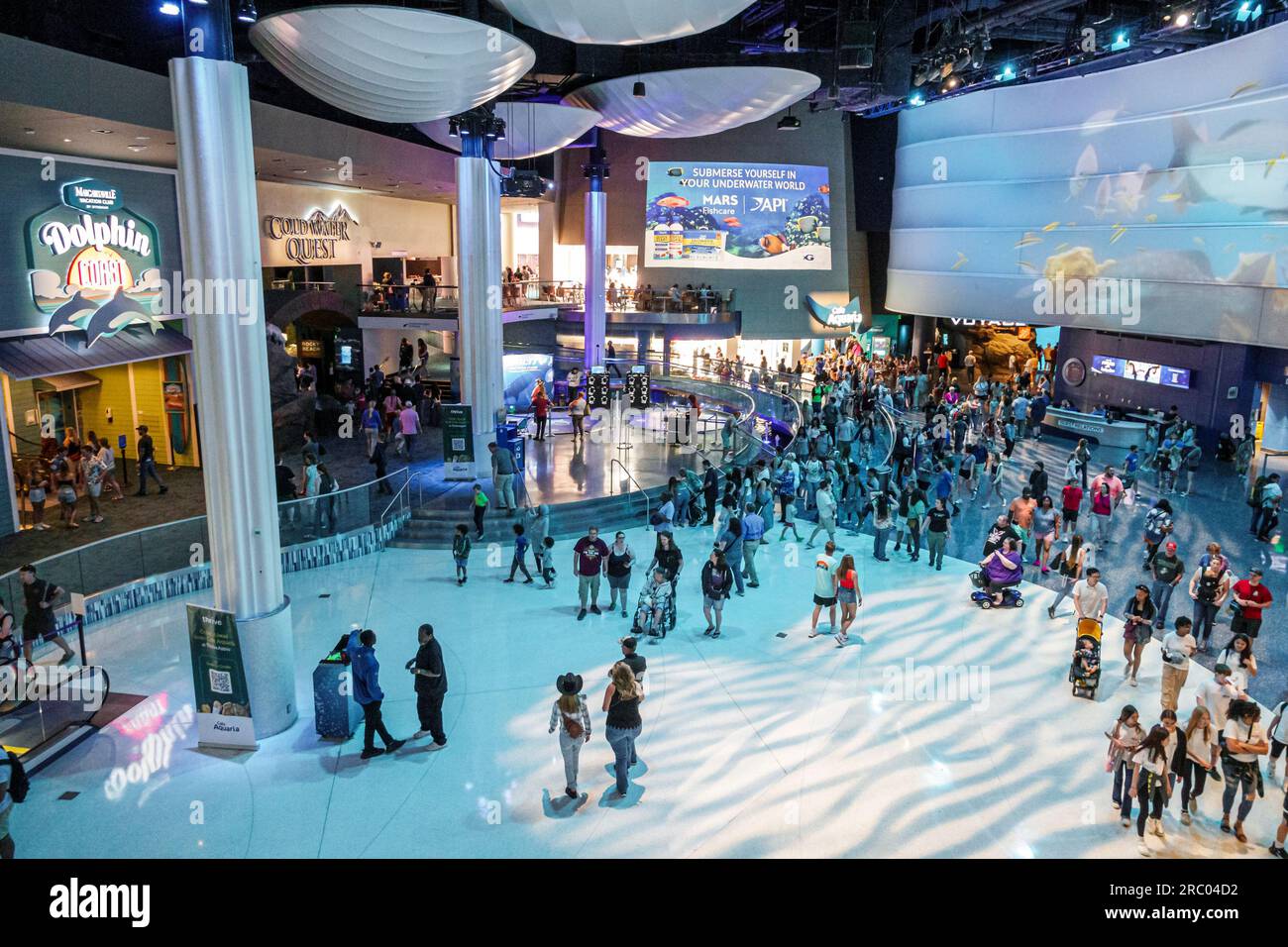 Atlanta Georgia, Georgia Aquarium, Innenausstellungen Stockfoto