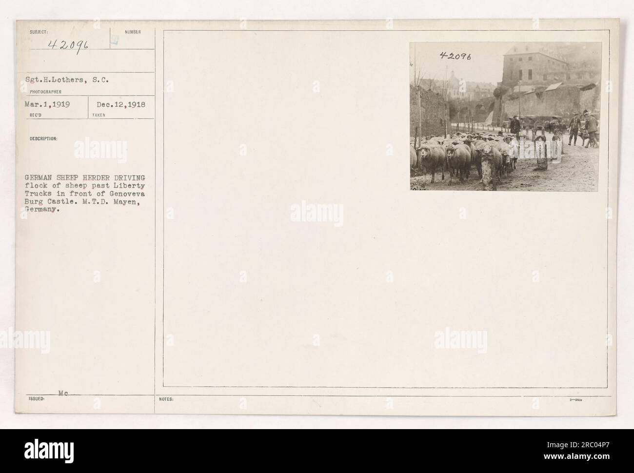 Deutscher Schafhirte, der eine Schafherde an Liberty Trucks vor dem Burgschloss Genoveva vorbeifährt. Foto von Sergeant H. Lothers in Mayen, Deutschland, am 1. März 1919. Stockfoto