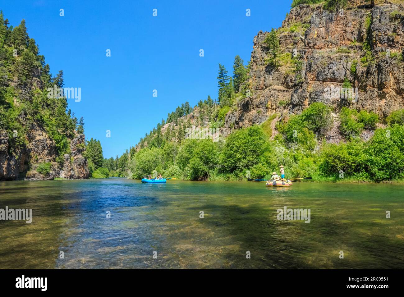 Sparren, die den blackfoot River bei ovando, montana, hinuntertreiben Stockfoto