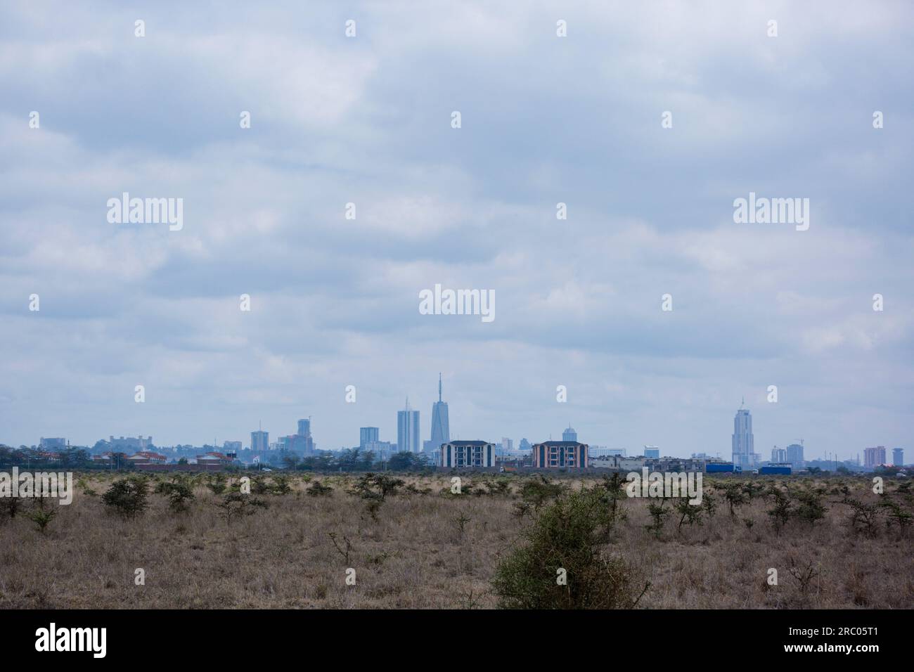 Nairobi ist die Hauptstadt Kenias. Neben dem urbanen Kern der Stadt hat die Stadt den Nairobi Nationalpark, ein großes Wildreservat, das für seine Zucht vom Aussterben bedroht ist Stockfoto