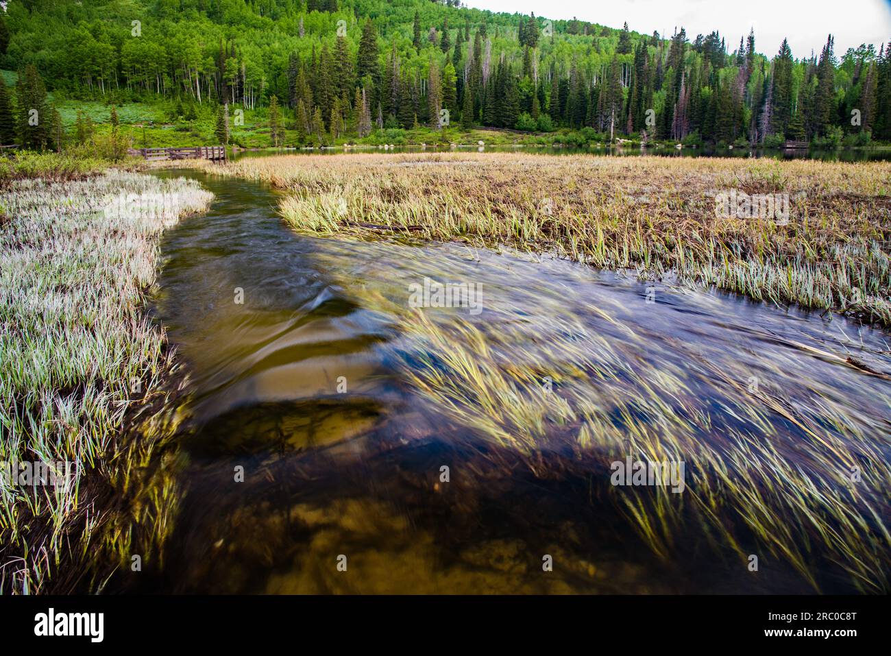 Silver Lake und Wiese im Big Cottonwood Canyon, in der Nähe von Salt Lake City, UT. USA. Stockfoto