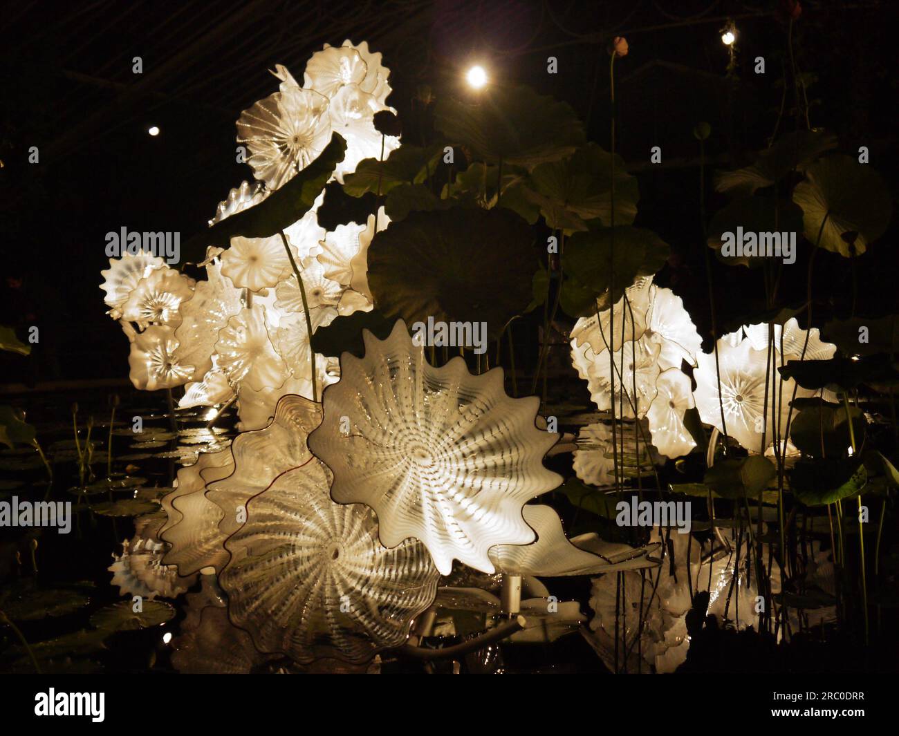 Ethereal White Persian Pond, 2018, von Dale Chihuly, beleuchtet als Teil der Chihuly Nights Ausstellung in Kew Gardens, 4. Oktober 2019 Stockfoto