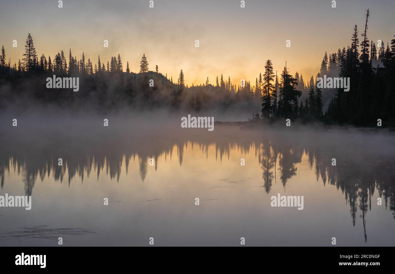 Noggy Reflection Lakes at Dawn | Mount Rainier National Park, Washington, USA Stockfoto