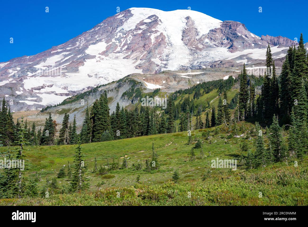 Mount Rainier vom Skyline Trail an einem sonnigen Tag aus gesehen | Mount Rainier National Park, Washington, USA Stockfoto