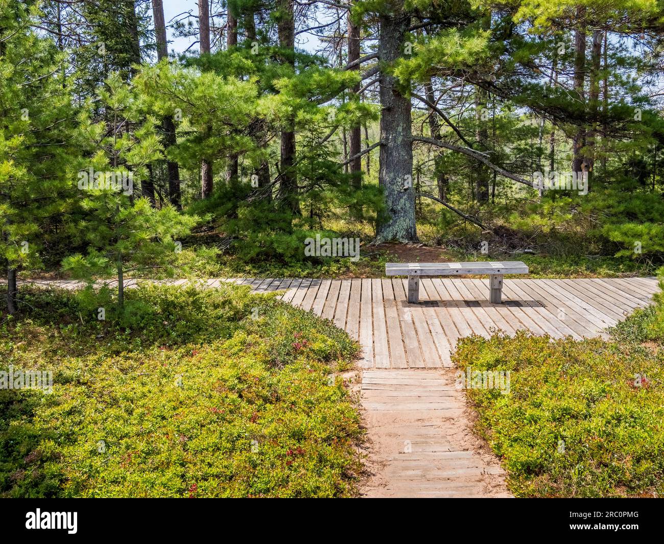 Promenade im Big Bay State Park am Lake Superior auf Madeline Island im Apostle Islands National Lakeshore in Wisconsin, USA Stockfoto