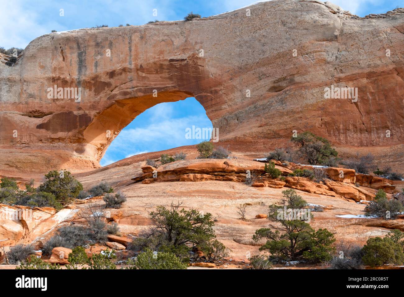 Wilson Arch, in der Nähe von Moab. Utah, USA, von Dominique Braud/Dembinsky Photo Assoc Stockfoto