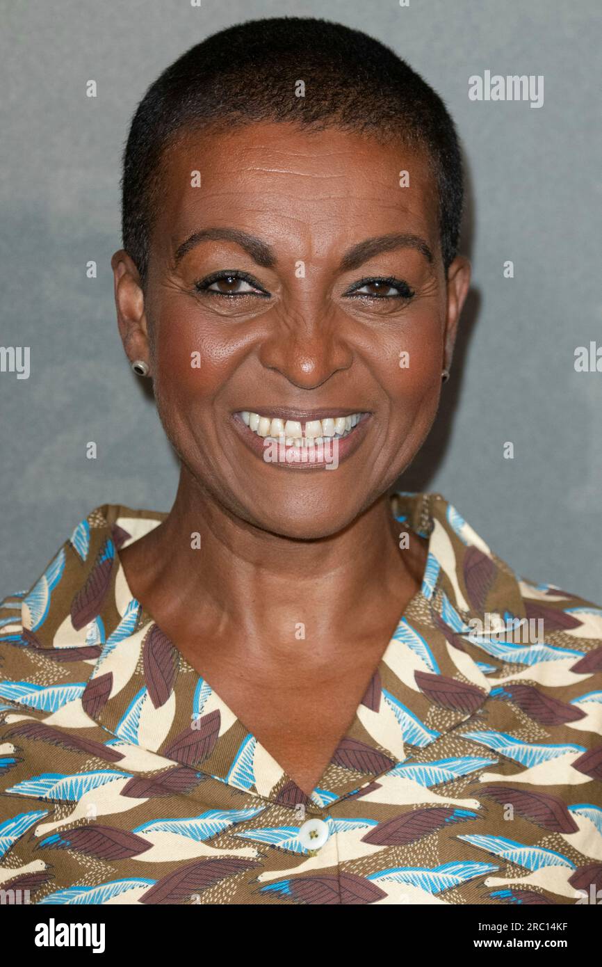 England, Großbritannien, am 11. Juli 2023. Adjoa Andoh posiert am 11. Juli 2023 auf der European Launch Event „Special Ops: Lioness“ im Tate Britain in London, England, Großbritannien. Stockfoto