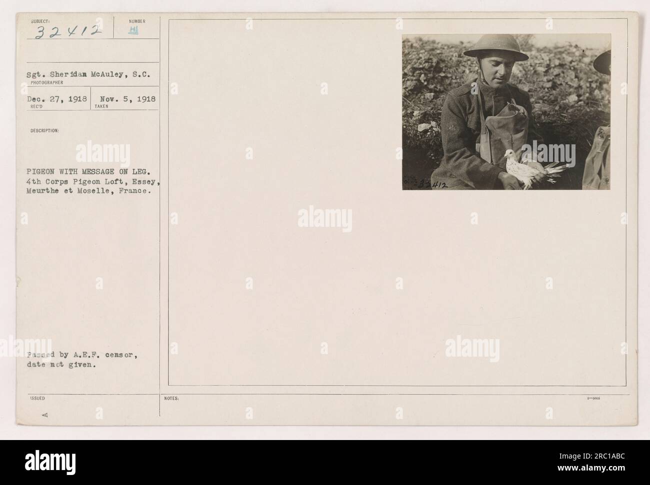 Ein Foto, aufgenommen am 5. November 1918, das Sergeant Sheridan McAuley vom Signalkorps zeigt. Die Abbildung zeigt eine nummerierte Taube mit einer Nachricht am Bein. Das Foto wurde im 4. Corps Pigeon Loft in Essey, Meurthe et Moselle, Frankreich, aufgenommen und erhielt es am 27. Dezember 1918. Sie wurde später für Notizen ausgegeben. Stockfoto