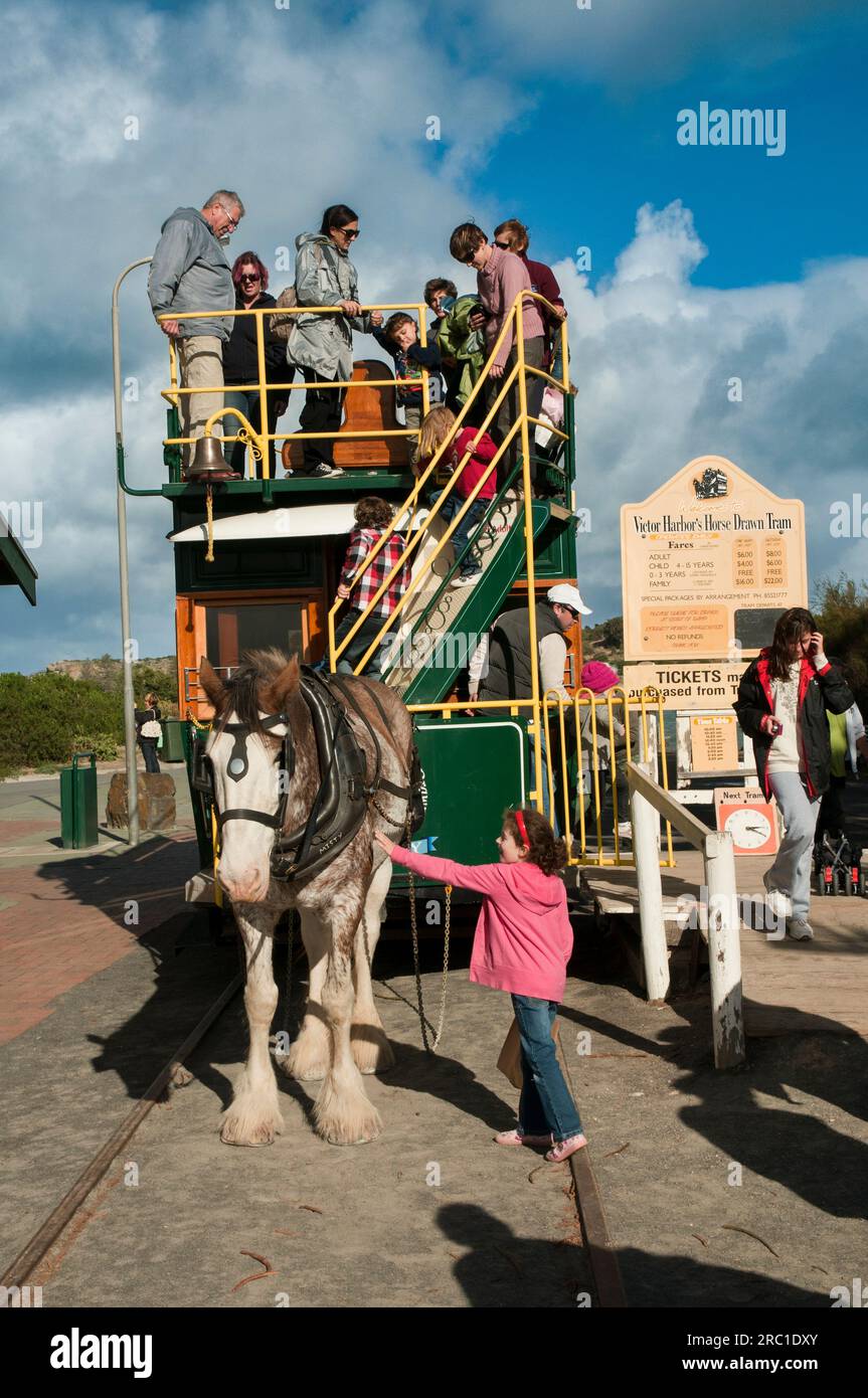 Pferdebahn am Victor Harbour, Südaustralien Stockfoto