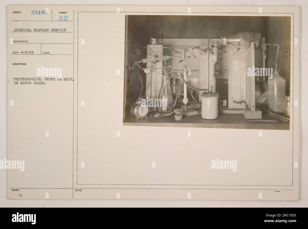 Im Ersten Weltkrieg führte der Chemische Kriegsdienst im Rahmen seiner Forschungs- und Entwicklungsbemühungen physiologische Tests an Mäusen durch. In diesem Bild werden Mäuse während eines Tests gesehen, vermutlich um die Auswirkungen von Chemikalien oder Substanzen im Zusammenhang mit der Kriegsführung zu bewerten. Stockfoto