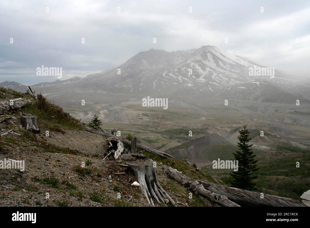 Mondlandschaft an der Mount St. Helens, Washington, USA Stockfoto