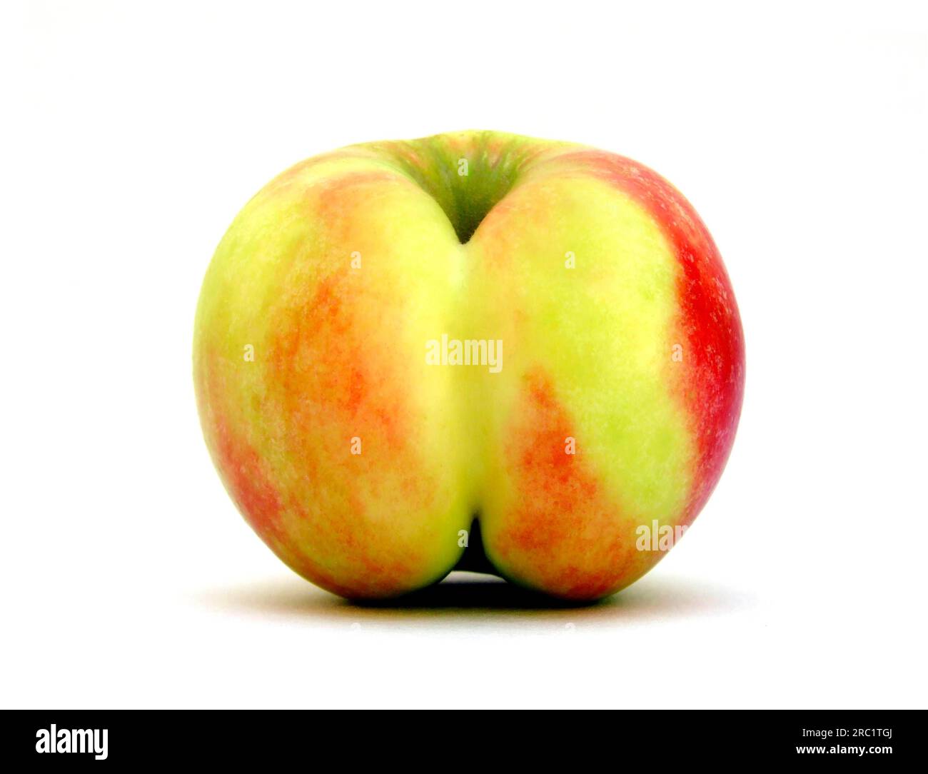 Ein Apfelboden Stockfoto