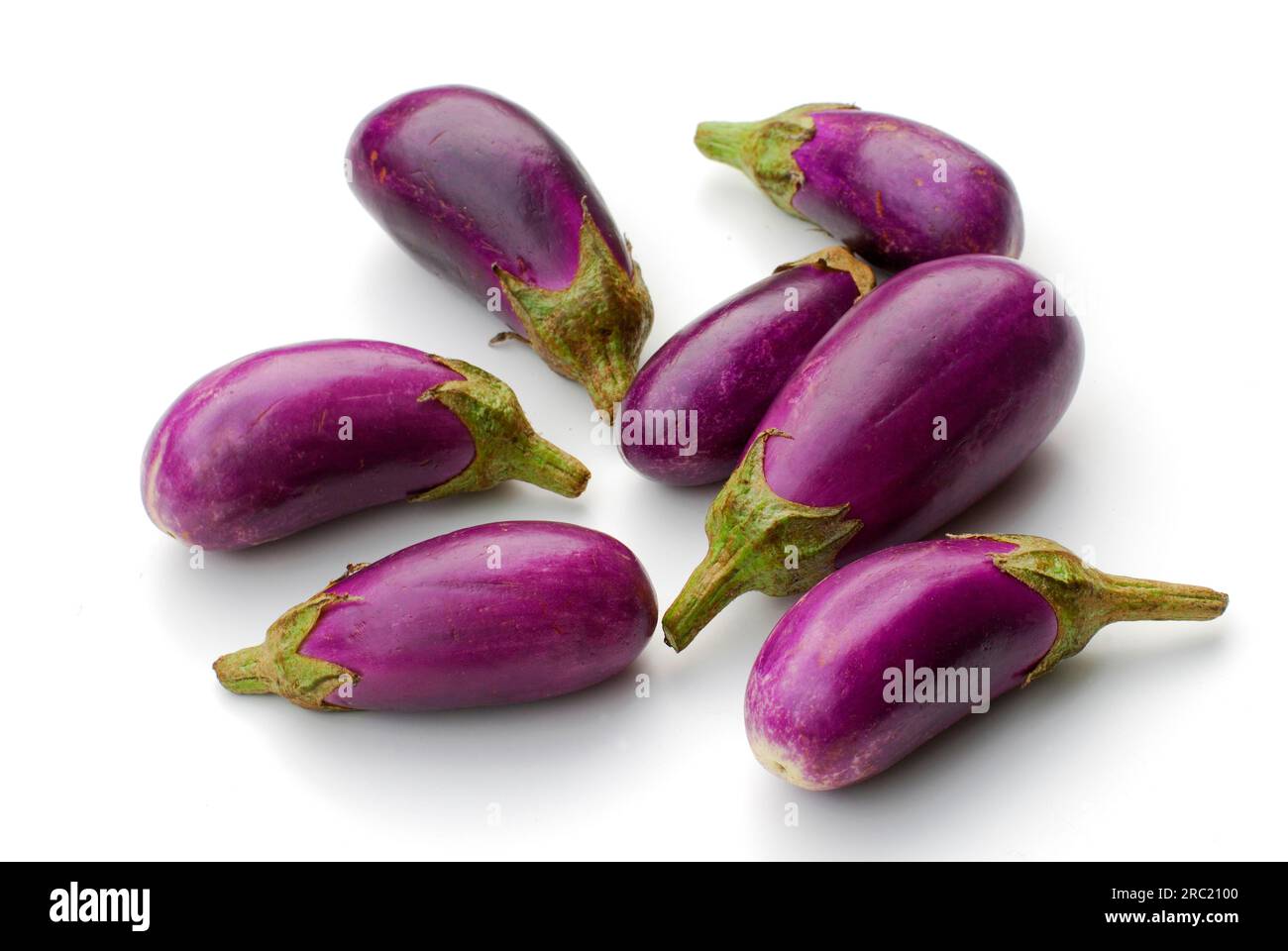 Eierpflanzen (Solanum melongena) Stockfoto