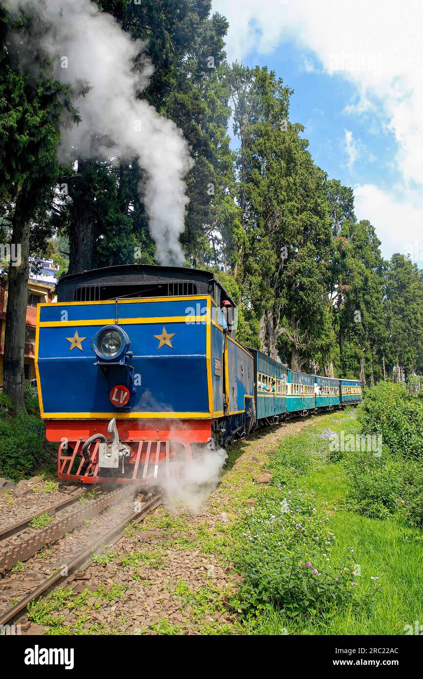 Aufregender Ausflug mit der Nilgiri Mountain Railway von Ooty nach Mettupalayam, Tamil Nadu, Südindien, Indien, Asien. UNESCO-Weltkulturerbe Stockfoto