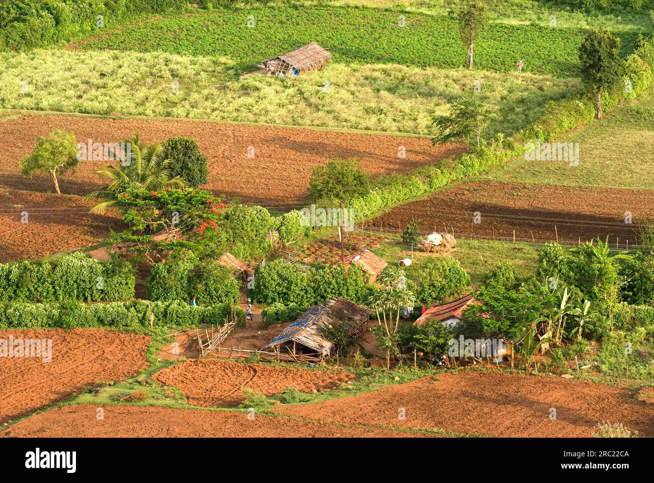 Blick auf Bauernhäuser vom Vibuthi Hill in Bokkapuram nahe Masinagudi in Nilgiris, Ooty Udhagamandalam, Tamil Nadu, Südindien, Indien, Asien Stockfoto