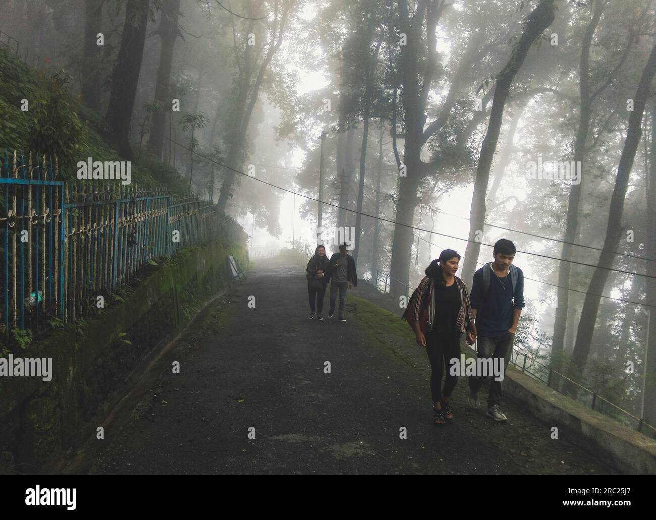 Eine Gruppe Mädchen, die auf einer nebelbedeckten Straße von Darjeeling spazieren. Darjeeling, Indien. Stockfoto