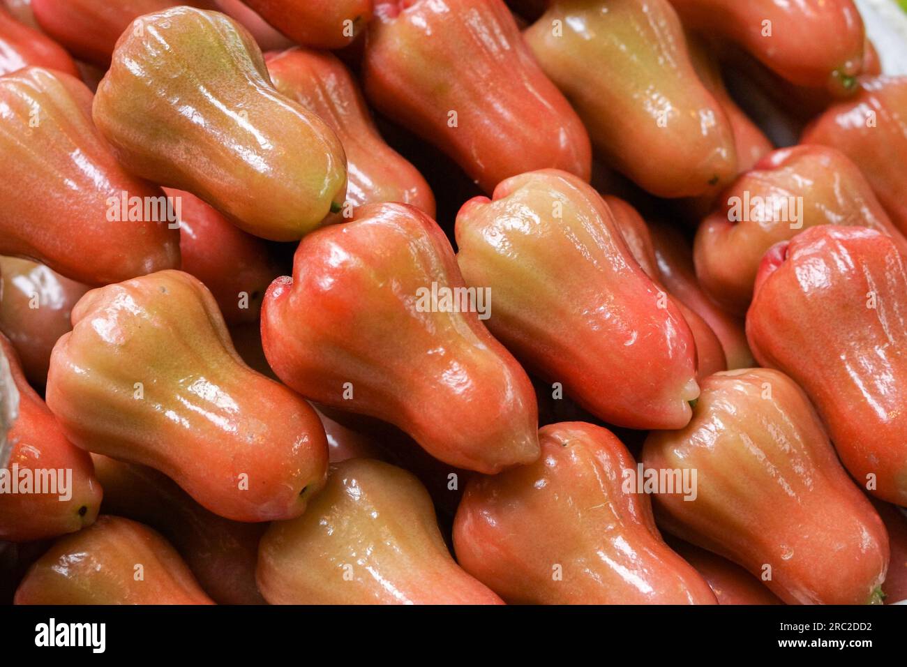 Aus nächster Nähe sehen Sie Rose (Java) Apfelfrucht auf dem Markt in Thailand Stockfoto