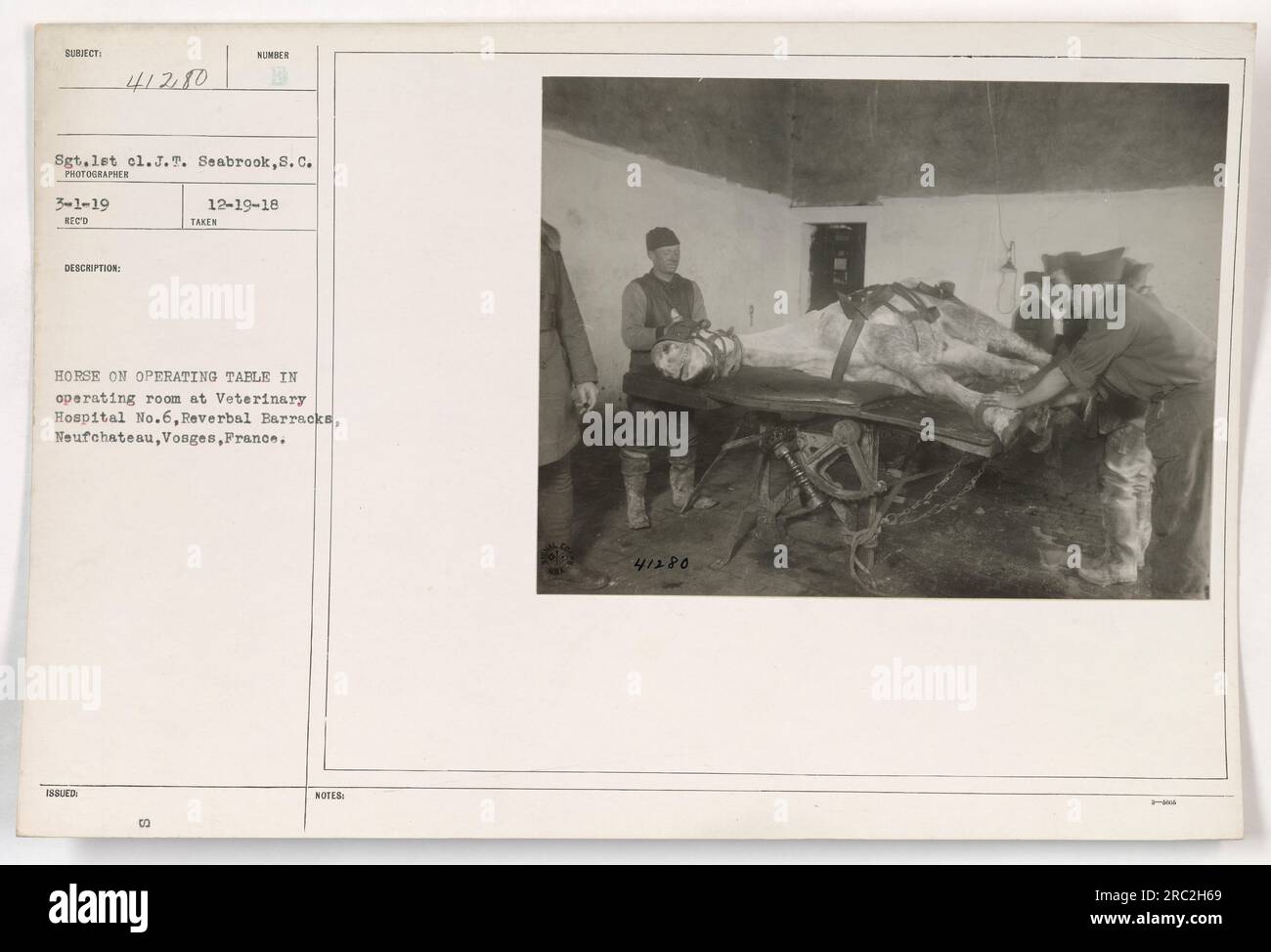 Ein Pferd, das auf einem Operationstisch in der Tierklinik Nr. 6, Reverbal Barracks in Neufchateau, Vogesen, Frankreich während des Ersten Weltkriegs behandelt wird. Das Foto zeigt Sergeant J.T. Seabrook arbeitet am verletzten Tier. Aufgenommen am 19. Dezember 1918. Stockfoto