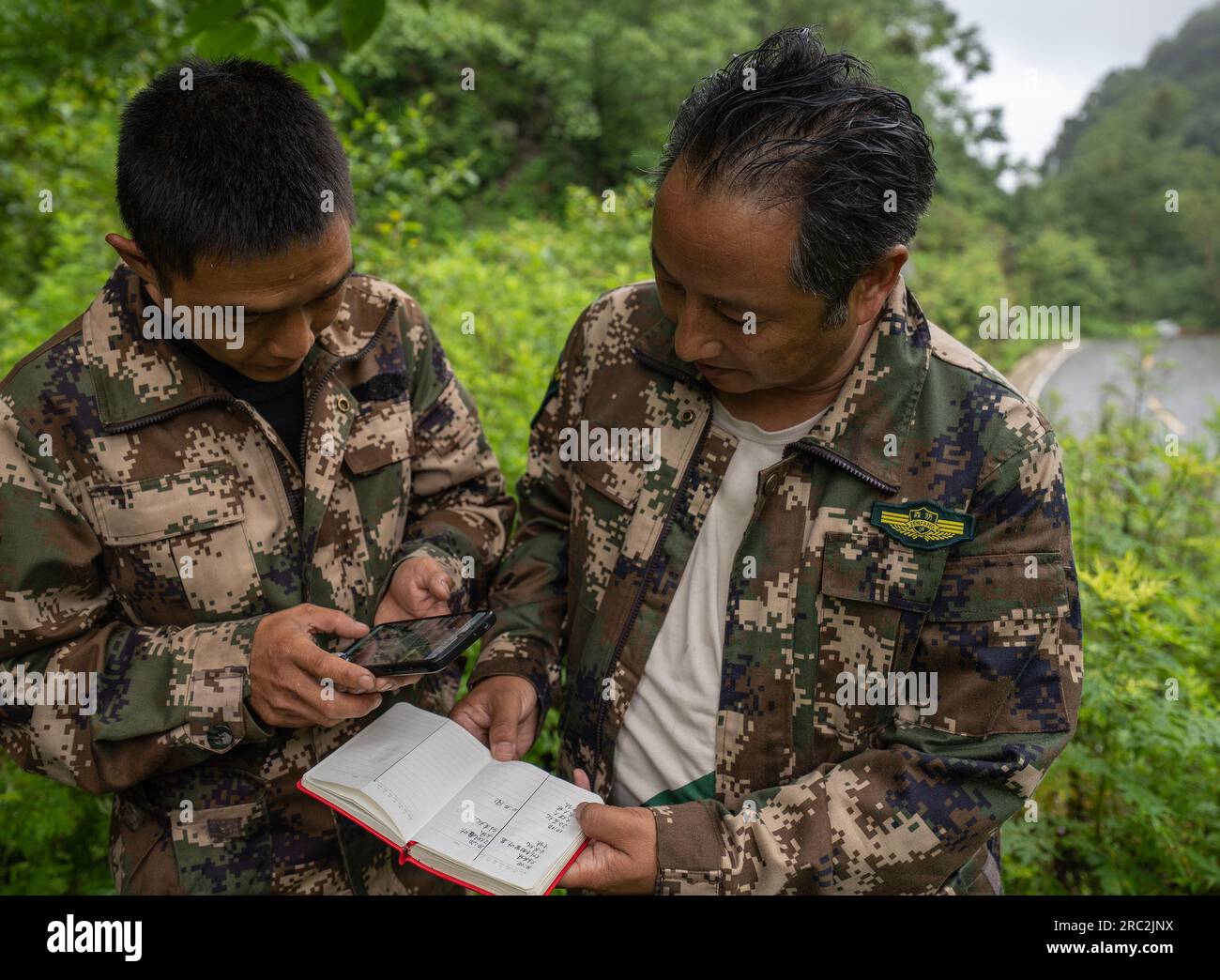 (230712) -- LUSHUI, 12. Juli 2023 (Xinhua) -- He Guipin (R) überprüft die Spur von Phayres Affen, die sein Kollege während einer Patrouille im nationalen Naturschutzgebiet Gaoligongshan in der Provinz Yunnan im Südwesten Chinas aufgezeichnet hat, 8. Juli 2023. Die Gaoligongshan-Berge, in denen etwa 17 Prozent der höheren Pflanzenarten Chinas, 30 Prozent der Säugetierarten und über 35 Prozent der Vogelarten vorkommen, sind ein wichtiges Beispiel für den Schutz der biologischen Vielfalt des Landes. Im Jahr 2011 wurde hier auch der Goldene Affe Nujiang, die fünfte goldene Affen-Art der Welt, gefunden. Guipin, ein Ranger der L Stockfoto