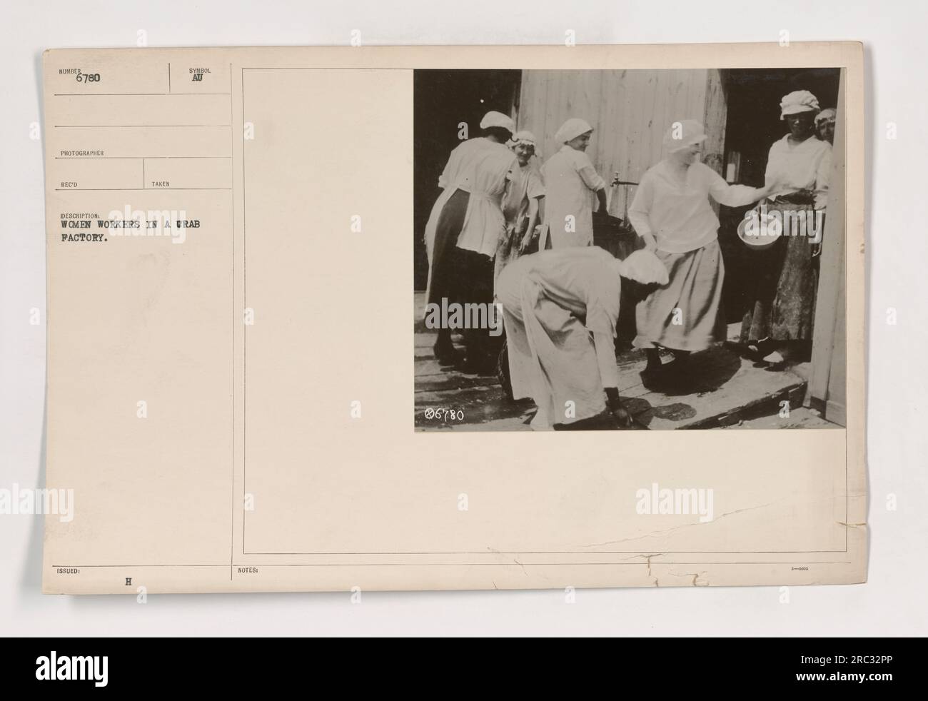 Im Ersten Weltkrieg werden weibliche Arbeiterinnen in einer Krabbenfabrik gesehen. Dieses Bild mit der Bezeichnung 111-SC-6780 wurde als Teil einer Sammlung aufgenommen, die "Fotos amerikanischer Militäraktivitäten während des Ersten Weltkriegs" genannt wurde. Es zeigt Frauen, die in der Fabrik wichtige Arbeit leisten, wahrscheinlich als Teil der Kriegsarbeit. Stockfoto