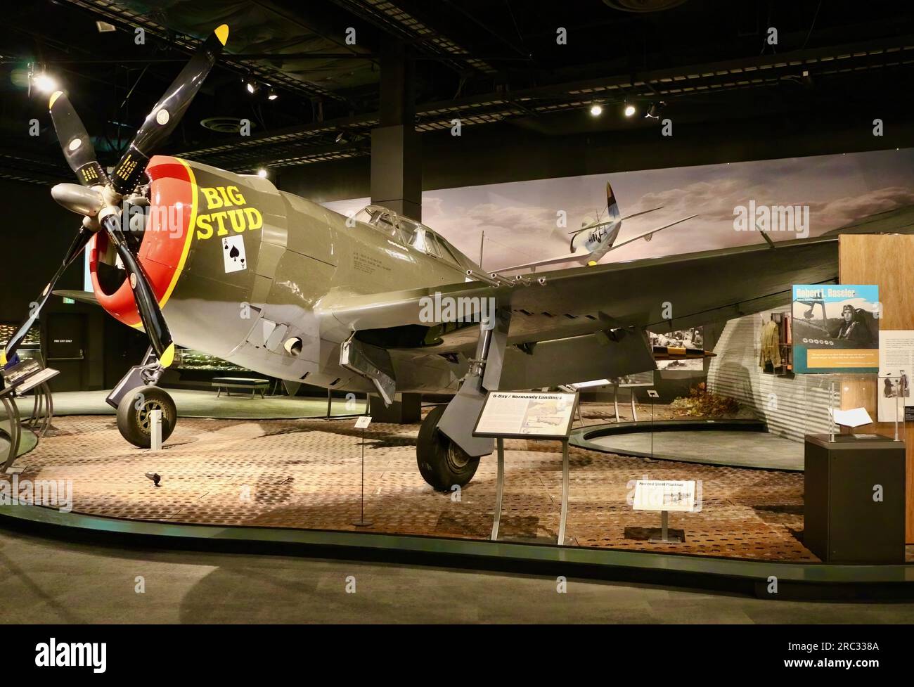 Republik P-47D (F-47) Thunderbolt Big Stud Bodenangriff Flugzeug aus dem 2. Weltkrieg Flugmuseum Seattle Washington State USA Stockfoto