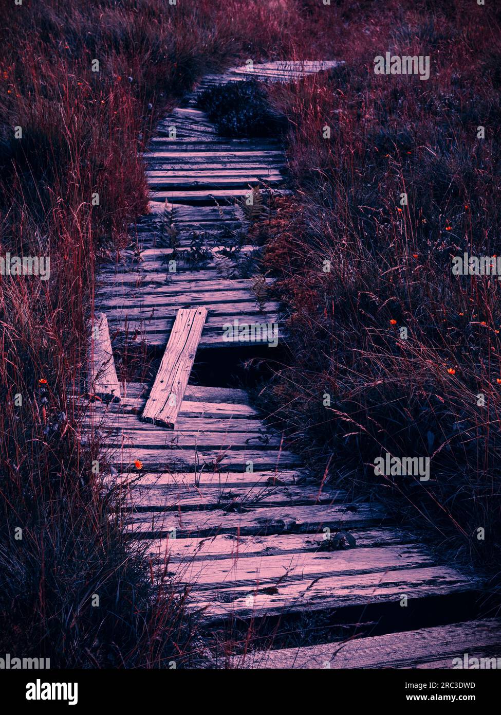 Gebrochener Holzweg Stockfoto