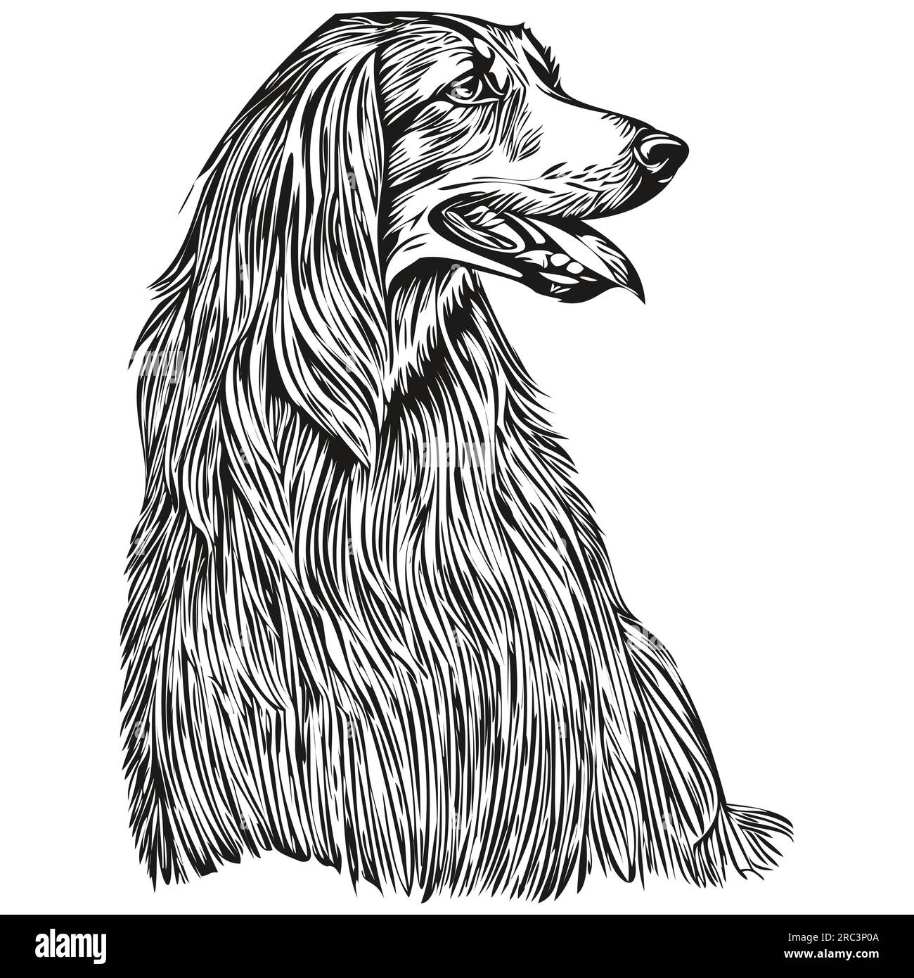 Afghan Hound Dog Logo in Schwarz und Weiß, klassischer niedlicher Hundekopf eingraviert Stock Vektor