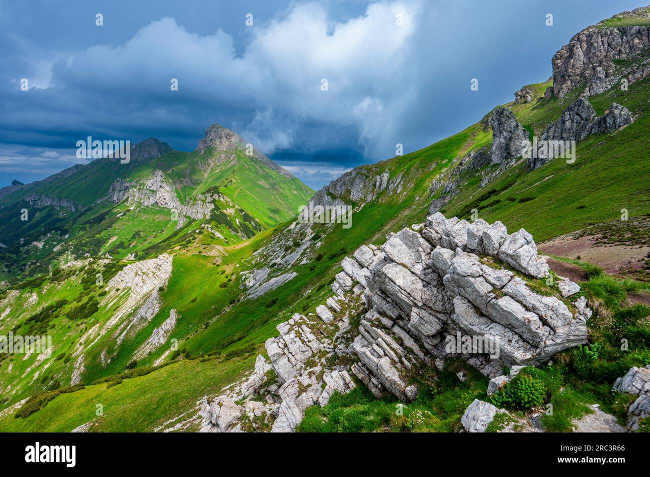 Sommerlandschaft der Belianske Tatras. Tatra-Nationalpark, Slowakei. Der Mount Havran und Zdiarska Vidla. Stockfoto