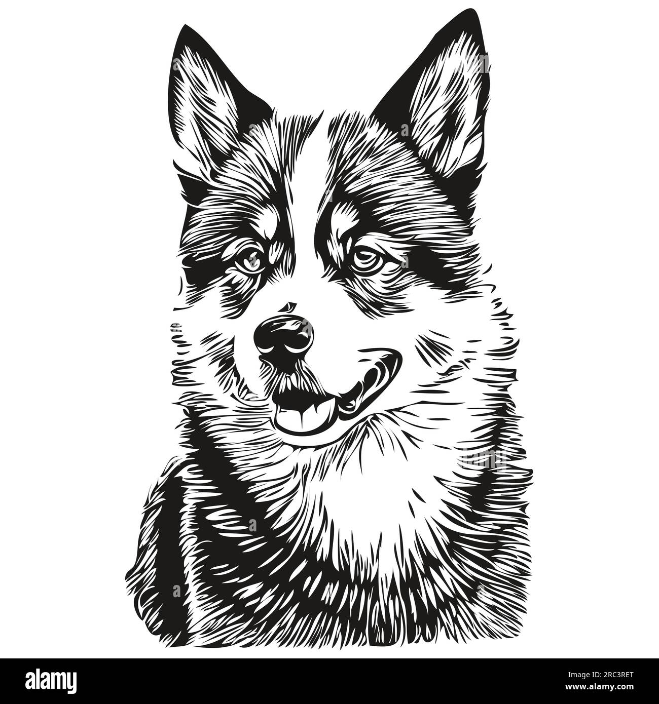 Akita Hundelogo in Schwarz und Weiß, klassischer Hundekopf eingraviert Stock Vektor