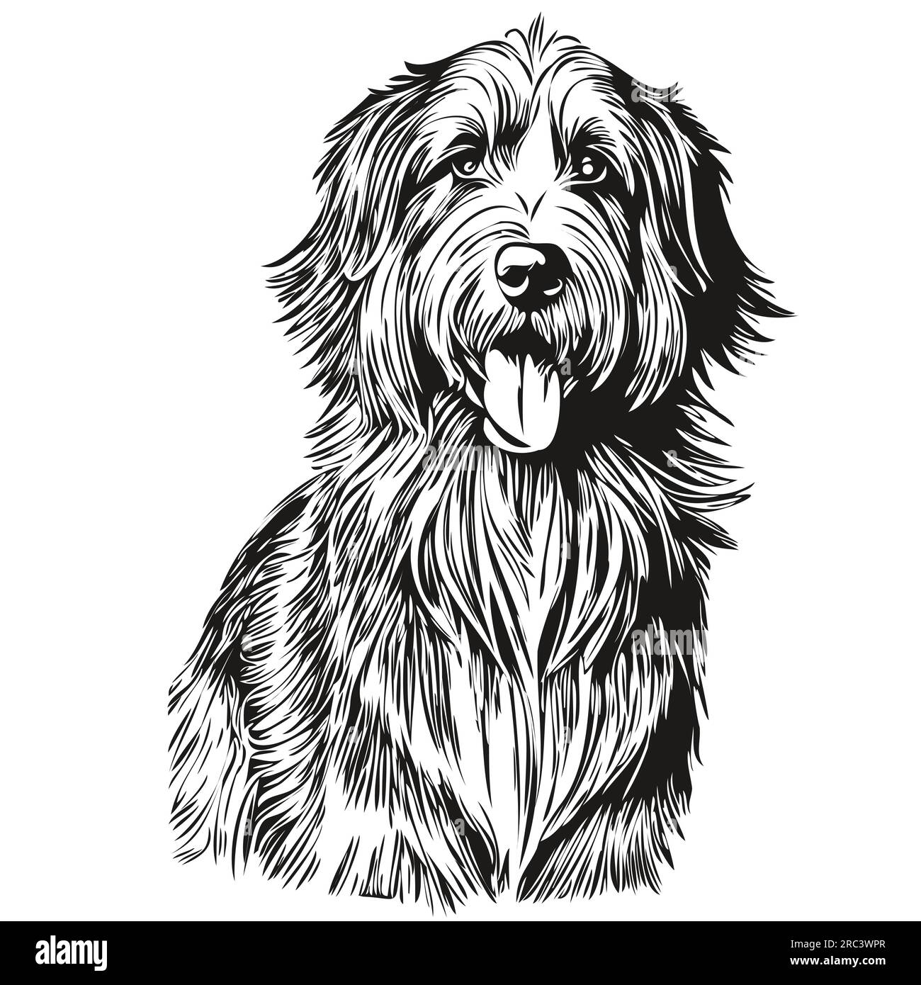 Bart Collie Dog Logo Vector schwarz-weiß, klassischer niedlicher Hundekopf eingraviert Stock Vektor