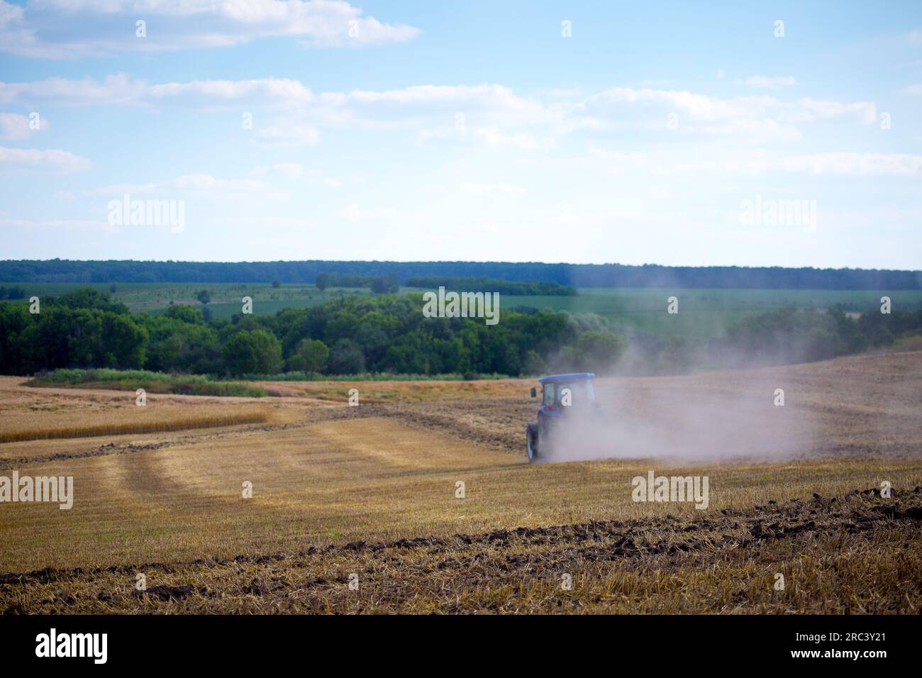 Ein moderner blauer Traktor mit einer gezogenen Scheibenegge und einer Walze pflügt ein Feld, auf dem das Frühjahrsgetreide gerade geerntet wurde. Mittsommer Stockfoto