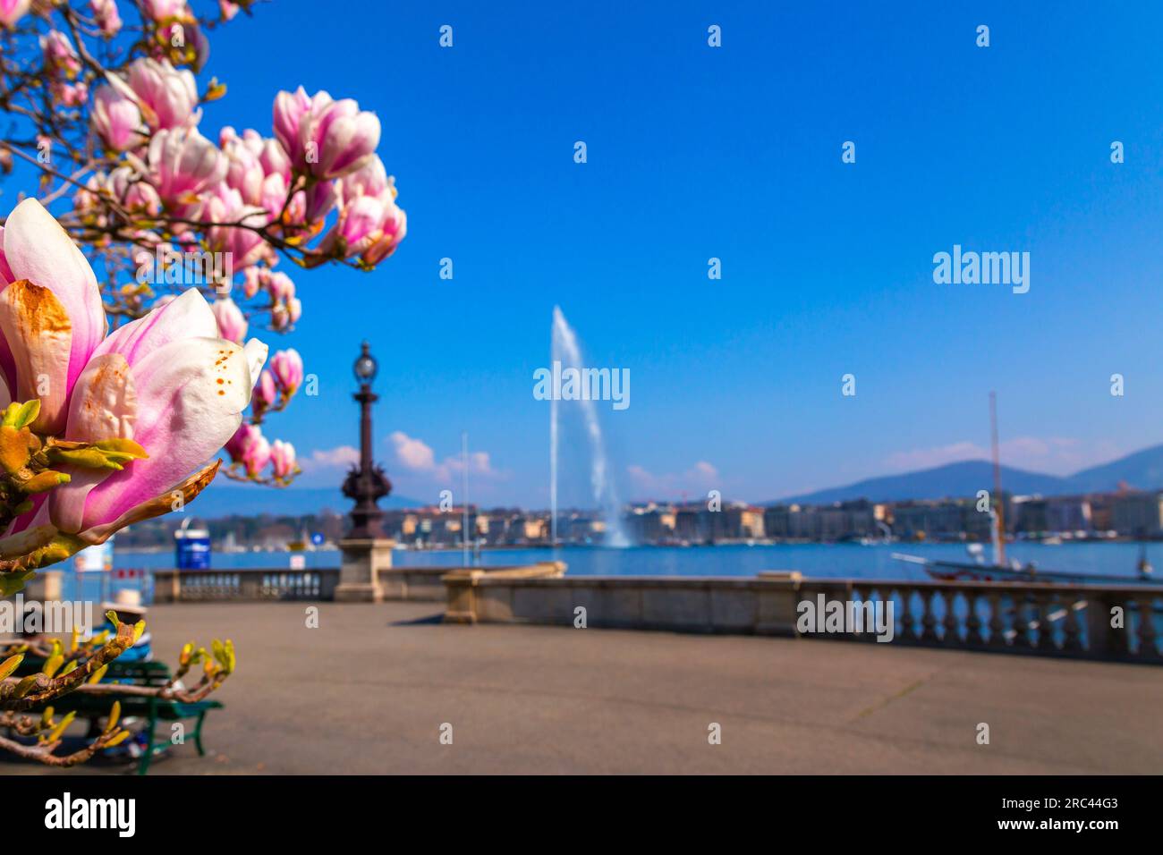 Malerischer Blick vom Genfer See an der Bucht von Genf, dem französischen Teil der Schweiz. Stockfoto