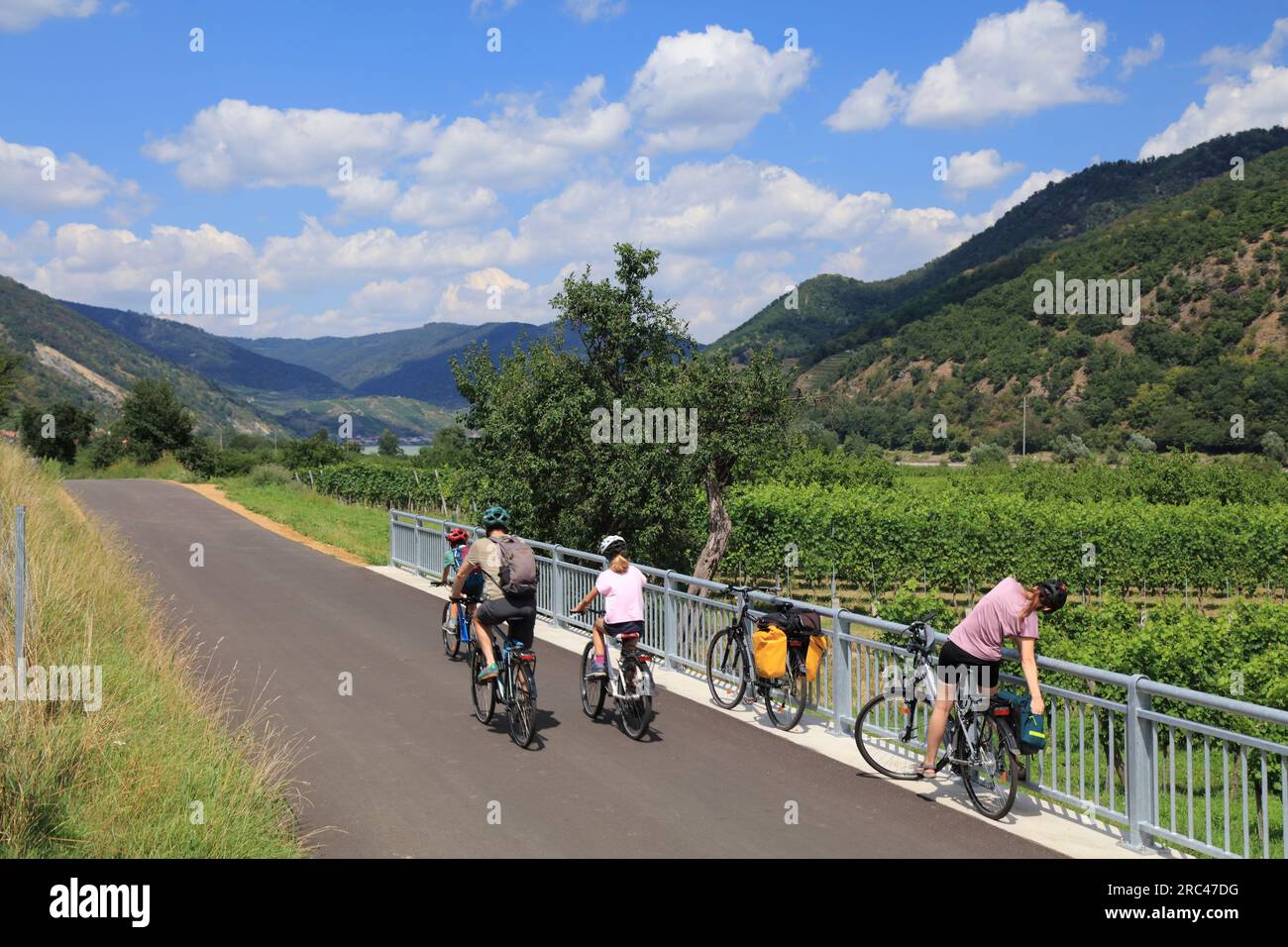 WACHAU, ÖSTERREICH - 31. JULI 2022: Radler fahren auf dem Donauradweg zwischen Weinbergen in der Wachau. Stockfoto