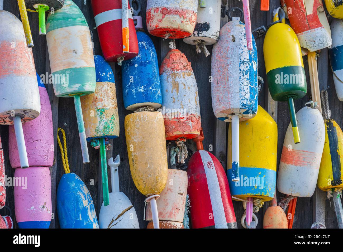 Herbstfarben auf Mount Desert Island in Maine. Stockfoto