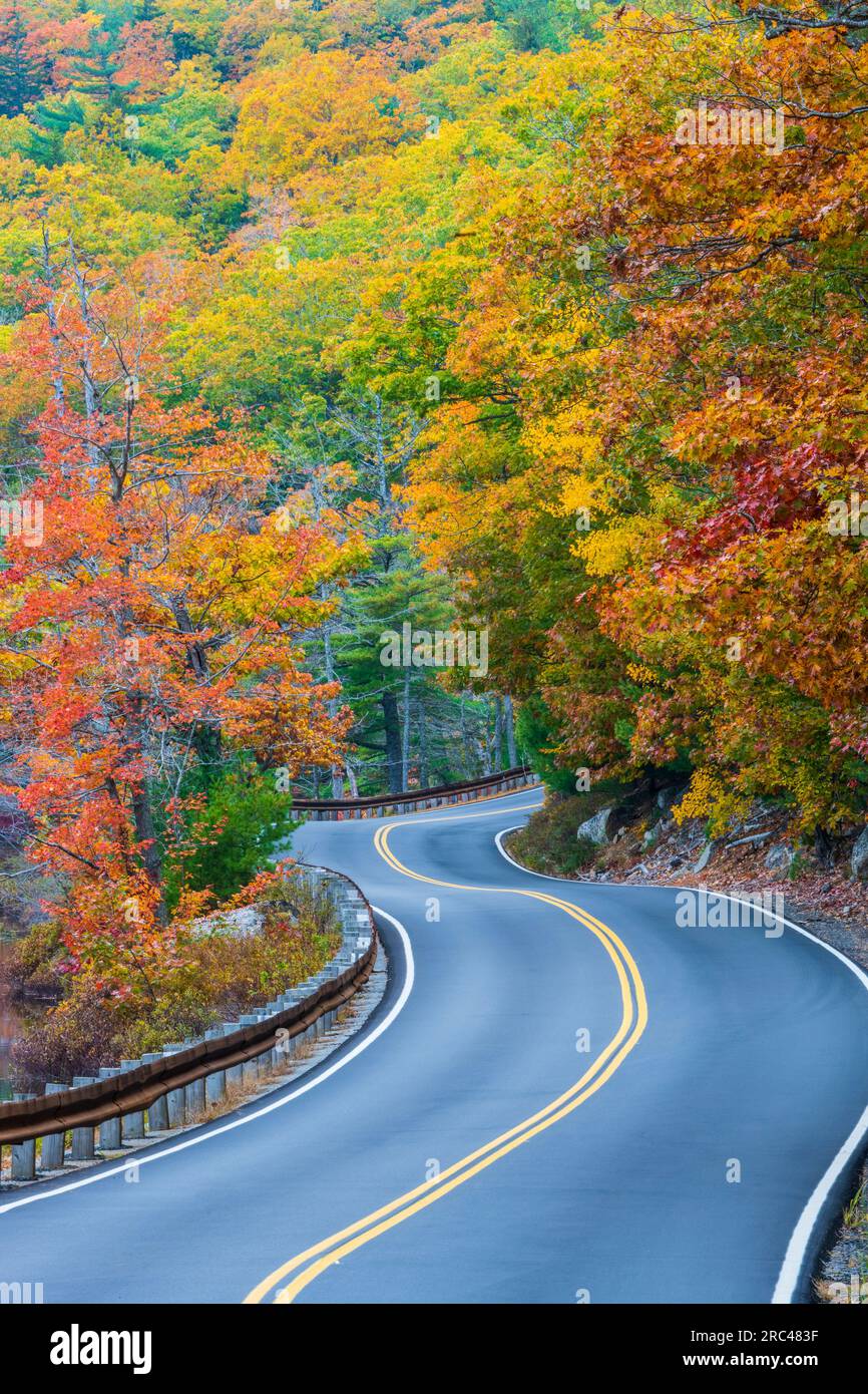 Herbstfarben auf Mount Desert Island in Maine. Stockfoto