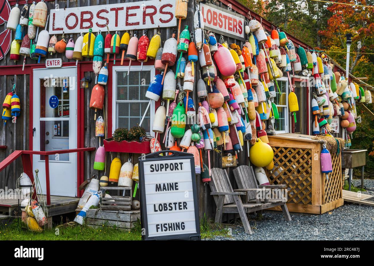 Herbstfarben auf Mount Desert Island in Maine. Stockfoto