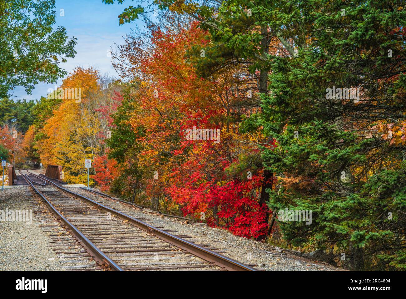 Herbstfarben auf Mount Desert Island in Maine. Stockfoto